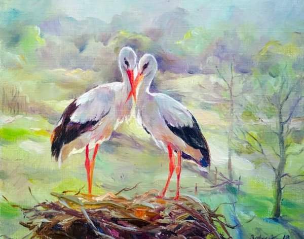 Аисты в Белоруссии