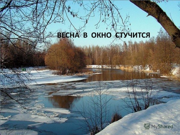 Весна стучится