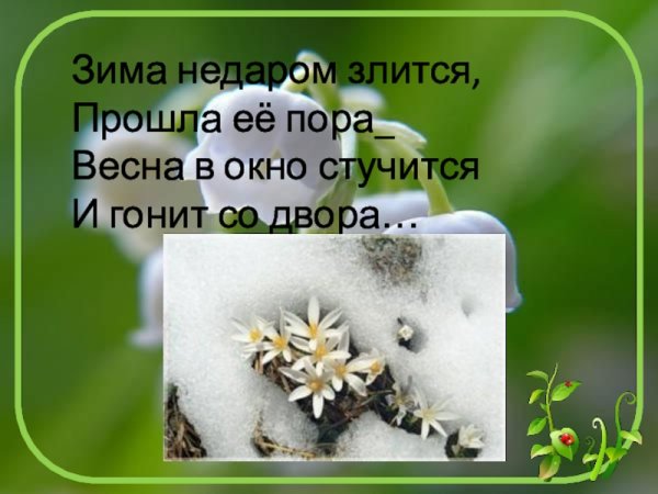 Зима недаром злится