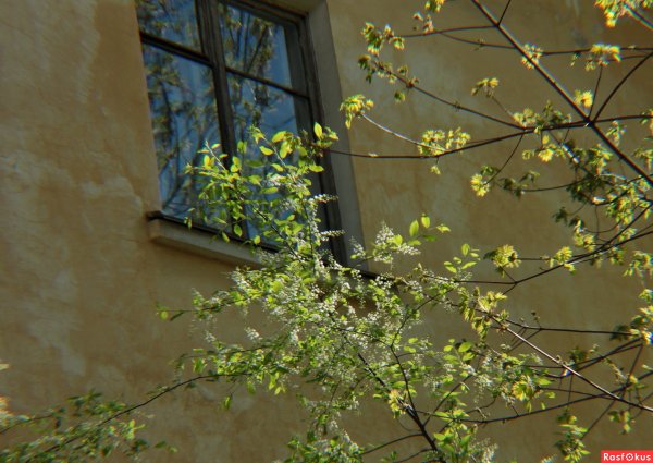 Весна в окно стучится