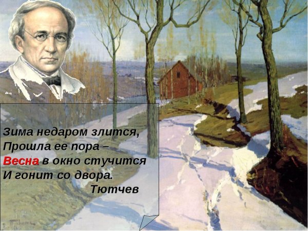 Вася Ложкин коты Весна