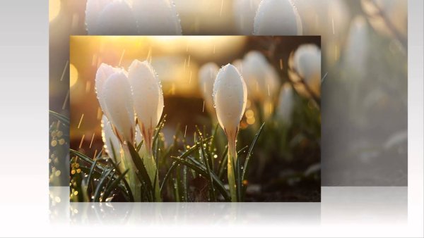 Вид весны март из окна фото