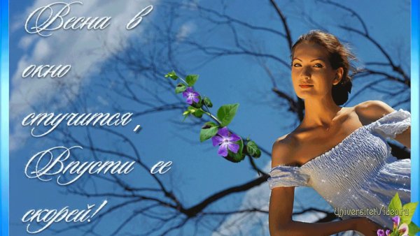 Рисунки на окнах Весна