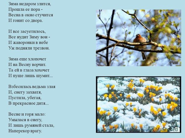 Ф Тютчева зима недаром злится