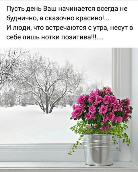 Александр Волков, "окно. Зима", 1960 г.