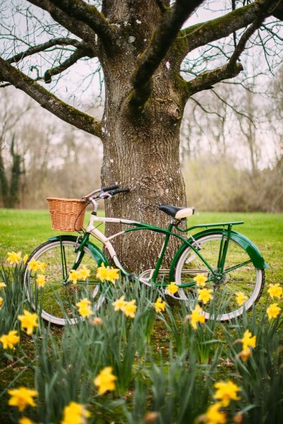 Велосипед на природе