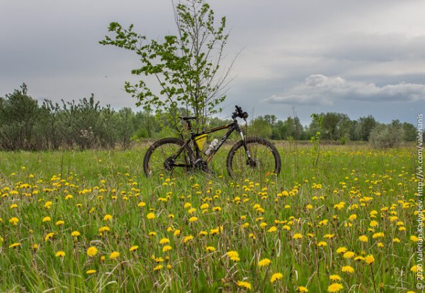 Горный велосипед Весна