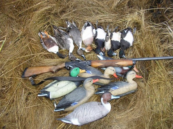 Весенняя охота на утку с чучелами