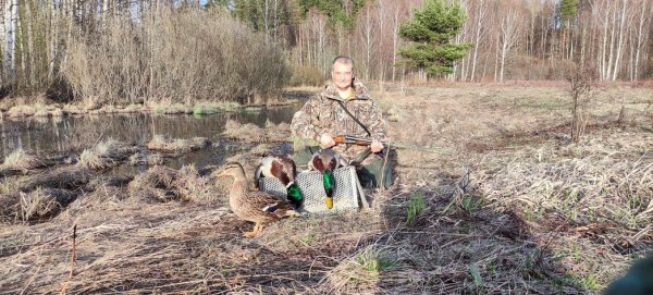 Утки охота