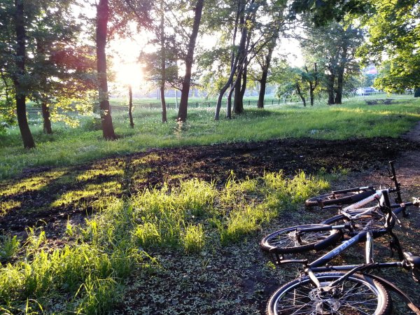 Велосипед в парке