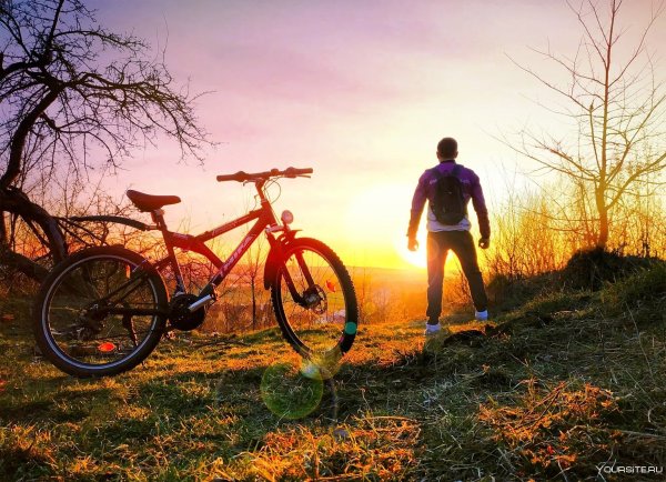 Лето велосипед