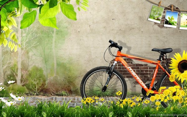 Велосипеды баннер