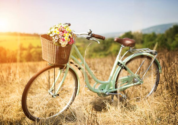 Велосипеды цветы природа