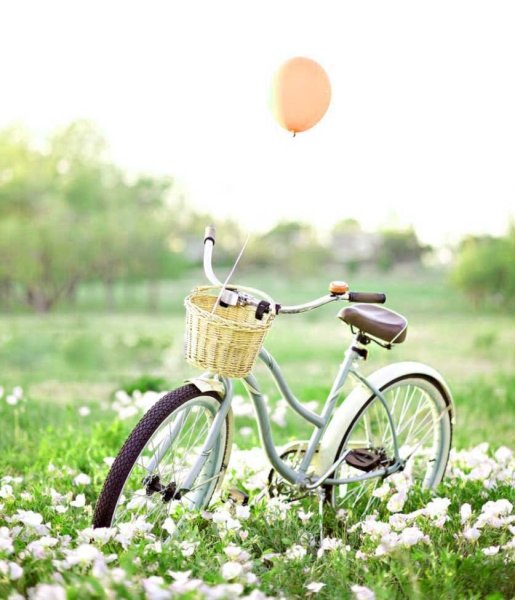 Велосипед на природе