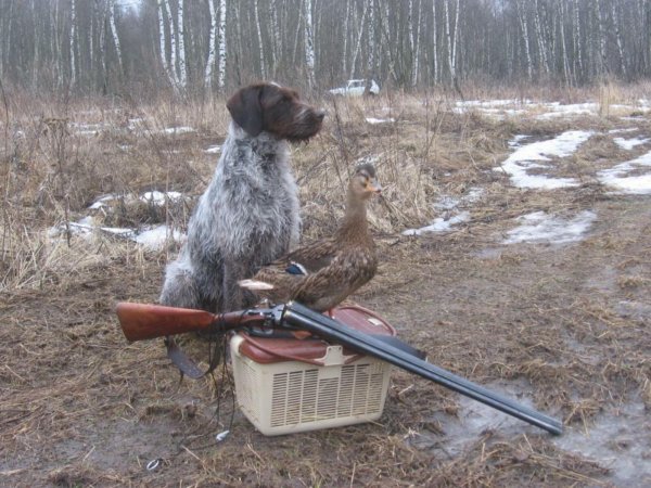 Весенняя охота