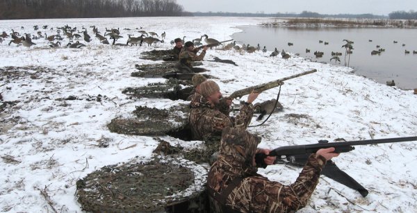 Утки охота
