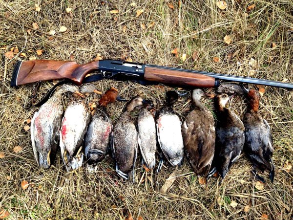 Охотник на утку