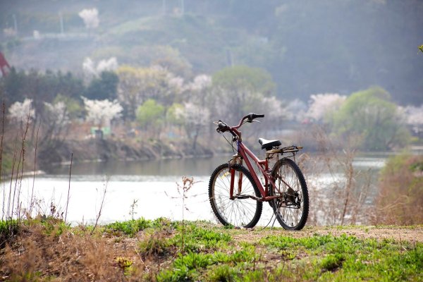 Велосипед весной