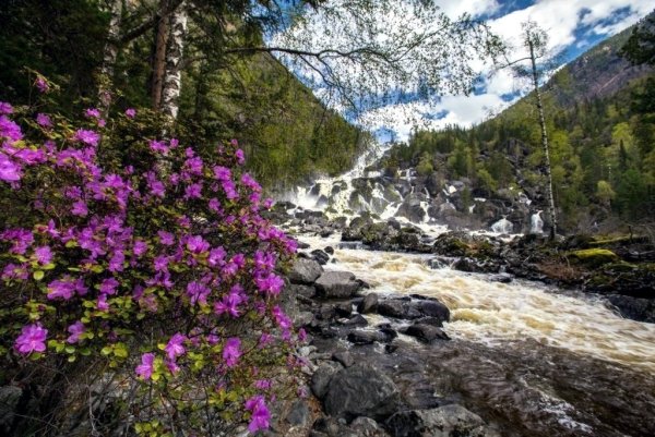 Алтай маральник водопад