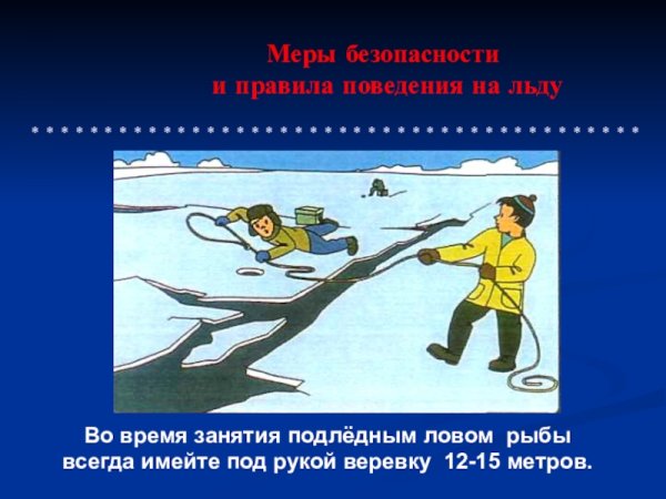Поведение на водоемах