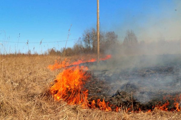 Пожароопасный сезон Хабаровск