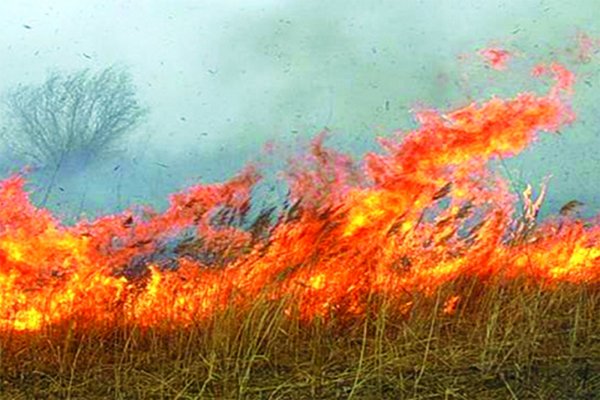 Ландшафтный пожар