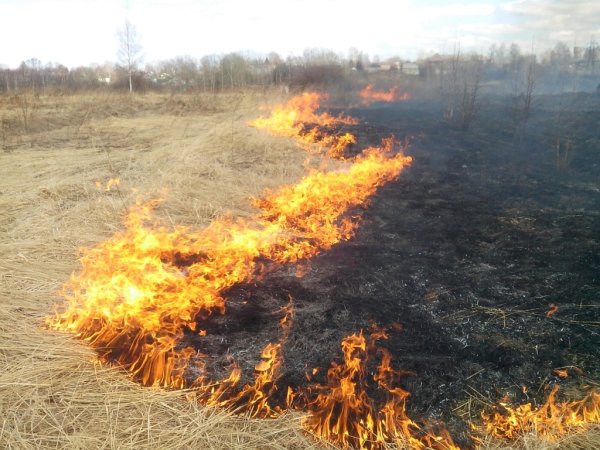 Причины пожаров весной