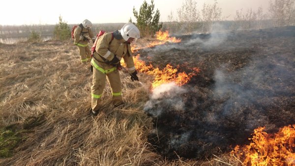 Тушение пала травы
