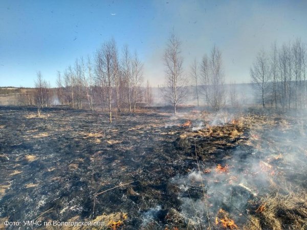 Загорание сухой травы