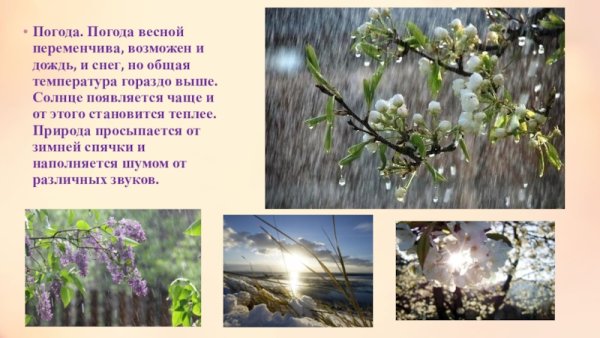 Какая погода бывает весной