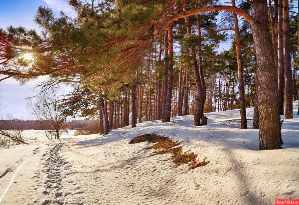 Река Усманка Сосновый Бор