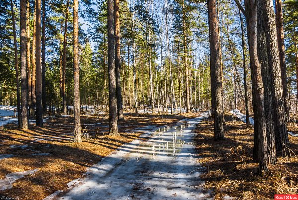 Сосновый Бор ЕКБ