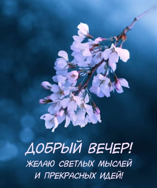 Вечер в апреле природа
