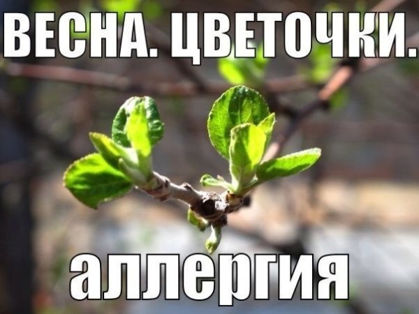 Мем про аллергиков весной