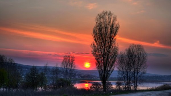 Доброй снежной весенней ночи