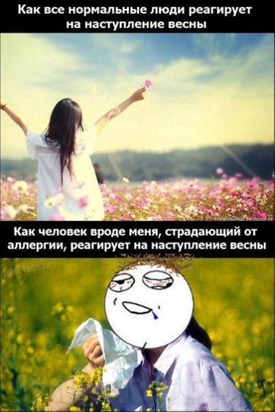 Мемы про аллергию