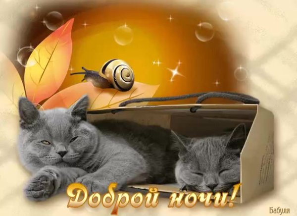 Доброго веченнего Вечерка