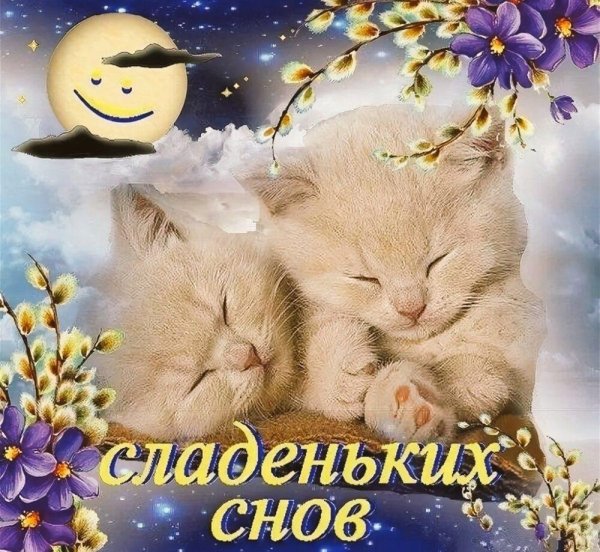 Открытки спокойной ночи