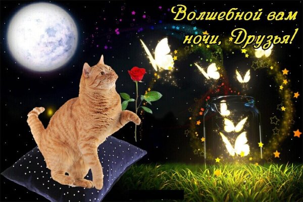 Спокойной ночи зимние смешные