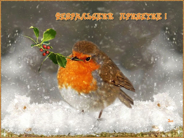 Яблоневый цвет в снегу