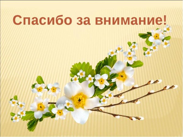 Спасибо за внимание для презентации