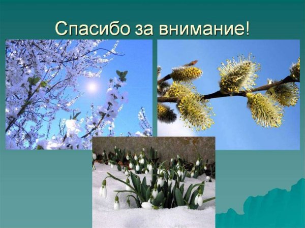 Спасибо за внимание