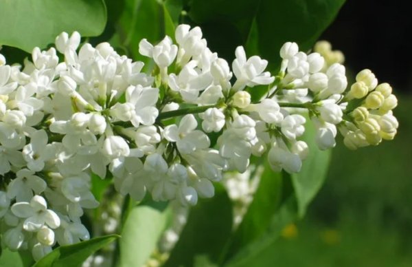 Фон для презентации спасибо за внимание