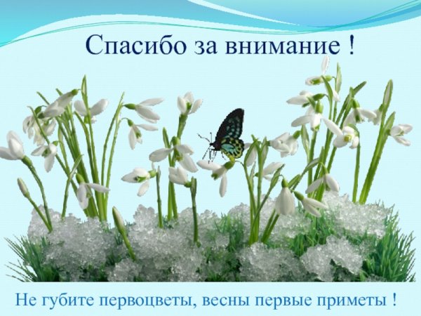 Фон для презентации спасибо за внимание