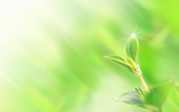 Благодарю за внимание