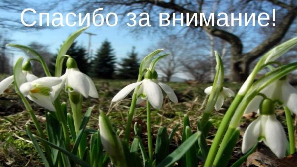 Весеннее спасибо