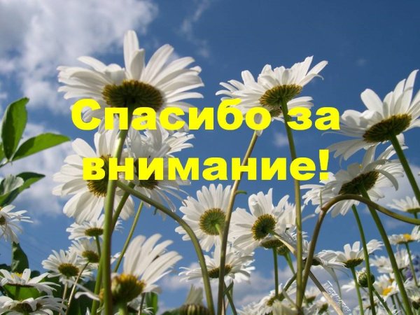 Спасибо за внимание с тюльпанами