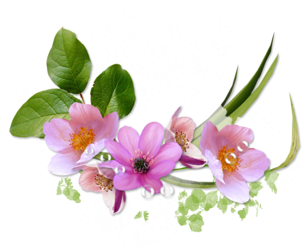 Спасибо весенние цветы