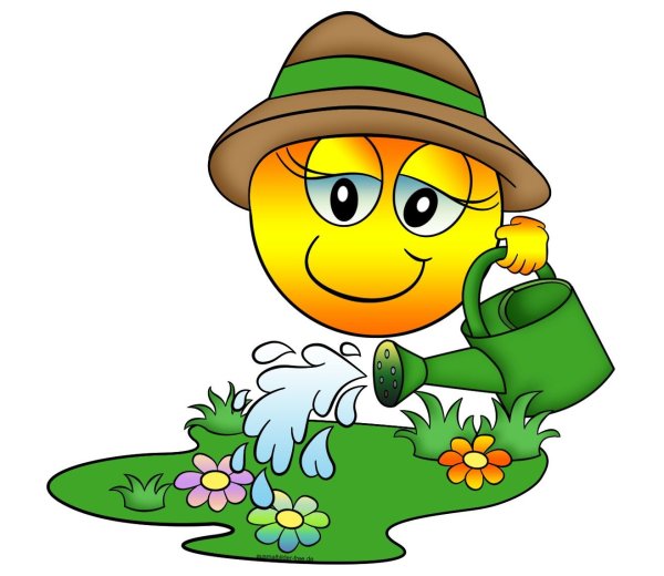 Смайлик бабочка