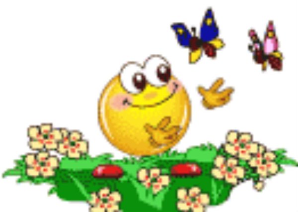 Клипарт лето на прозрачном фоне